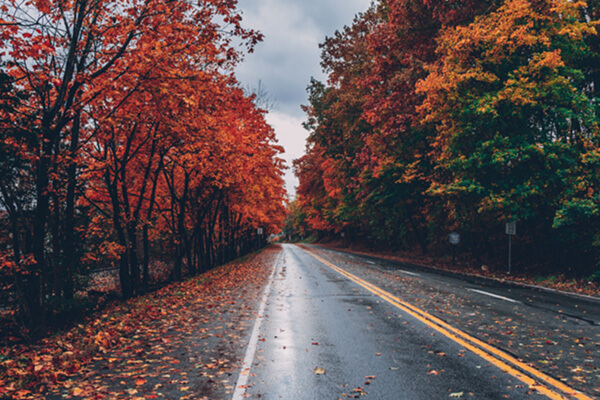คำศัพท์ฤดูกาลต่างๆ สภาพอากาศภาษาอังกฤษ (Weather & Season) พร้อมคำแปล ...
