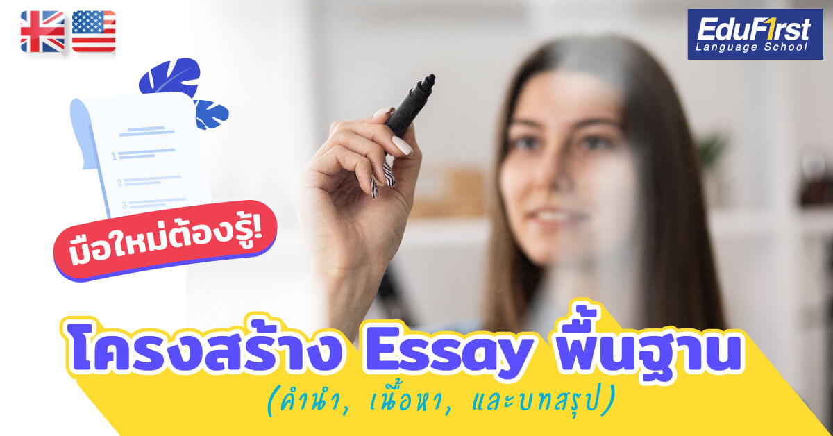  Essay 